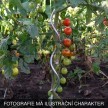 Zahradní spirála k rajčatům 1800 mm | Ø 7,0 mm | pozinkovaná