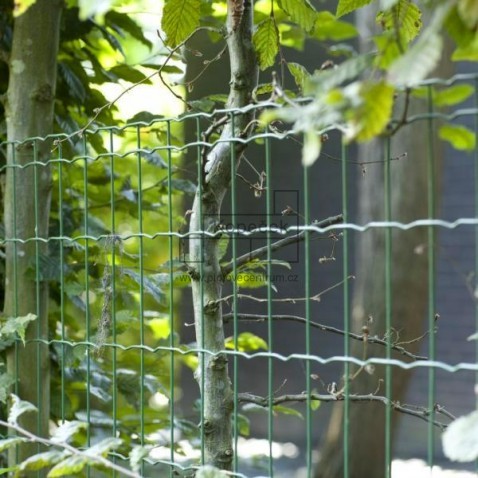 Svařovaná plotová síť PANTANET FAMILY poplastovaná 810 mm | zelená | oko 100 × 50 mm | drát 2,5 mm