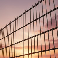 Svařovaný plotový panel BRAVO 2D poplastovaný 830 mm | antracitová šedá RAL 7016 | oko 50 × 200 mm | drát 2 × 6,0 mm / 5,0 mm