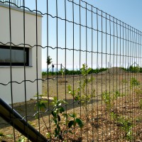 Svařovaná síť PANTANET FAMILY 2030 mm | drát 2,5 mm | antracit